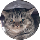 Nima Sahraravand profile picture